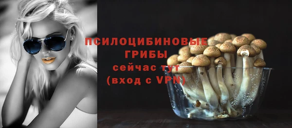 прущая мука Кинешма