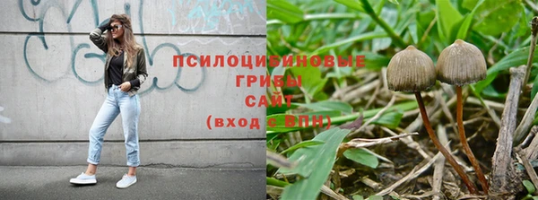 прущая мука Кинешма