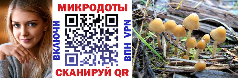 Псилоцибиновые грибы мицелий  Купить  Камешково 